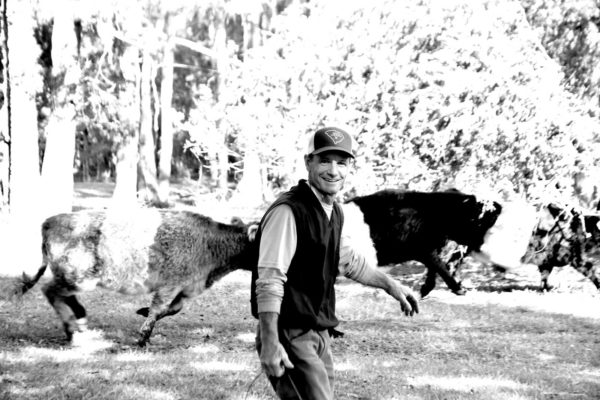 John Morgan, takes the gang for one of his famous morning walks (2017)